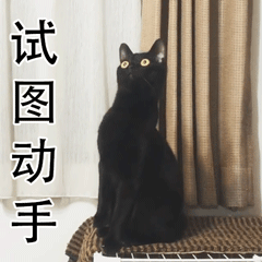 试图动手表情包表情包 - GIF表情包分类 - 高清免费下载