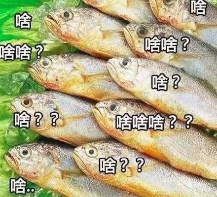 鱼：啥？表情包表情包 - 套图表情包分类 - 高清免费下载