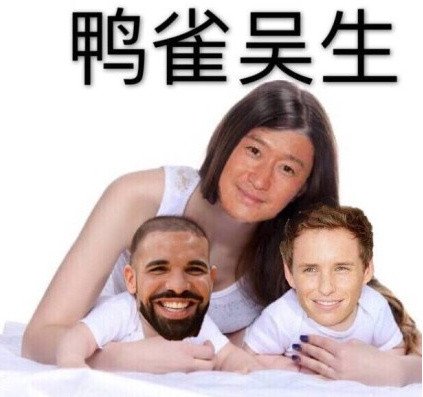 鸭雀吴生表情包表情包 - 套图表情包分类 - 高清免费下载