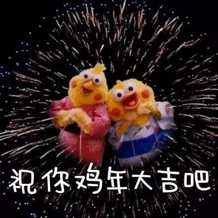 鹦鹉兄弟版祝你们鸡年大吉吧表情包表情包 - 套图表情包分类 - 高清免费下载