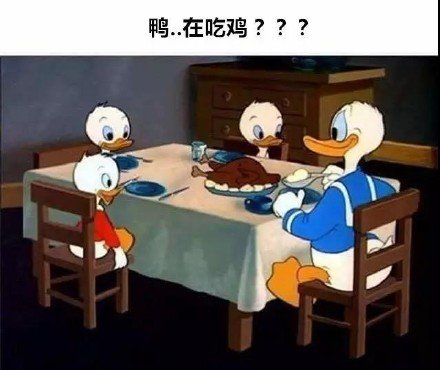 鸭，在吃鸡？？？表情包表情包 - 套图表情包分类 - 高清免费下载