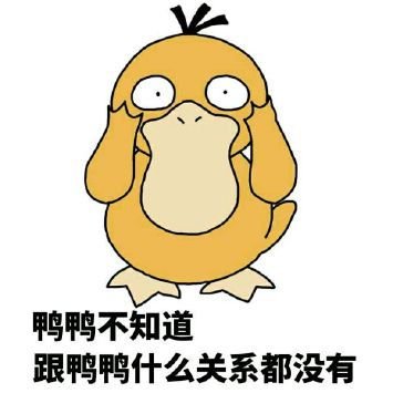 鸭鸭不知道，跟鸭鸭什么关系都没有表情包表情包 - 套图表情包分类 - 高清免费下载