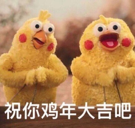 鹦鹉兄弟版祝你鸡年大吉吧表情包表情包 - 套图表情包分类 - 高清免费下载