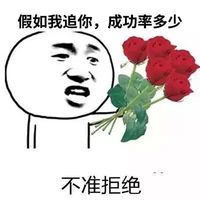 假如我追你成功率多少不准拒绝表情包 - 套图表情包 - 免费下载