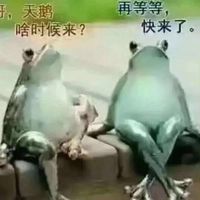 哥天鹅再等等啥时候来快来了表情包 - 套图表情包 - 免费下载