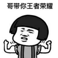 哥带你王者荣耀表情包 - 套图表情包 - 免费下载