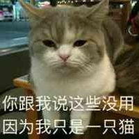 你跟我说这些没用因为我只是一只猫表情包 - 套图表情包 - 免费下载