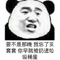 要不是那晚我忘了买套套你早就被扔进垃圾桶里了表情包 - 套图表情包 - 免费下载