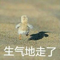 鸭子生气地走了表情包 - GIF表情包 - 免费下载
