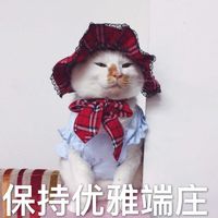 保持优雅端庄表情包表情包 - 套图表情包 - 免费下载