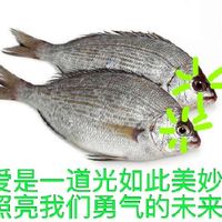 爱是一道光如此美妙，照亮我们勇气的未来表情包表情包 - 套图表情包 - 免费下载