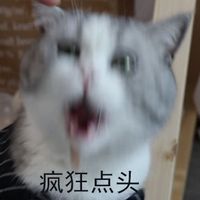 疯狂点头表情包表情包 - 套图表情包 - 免费下载