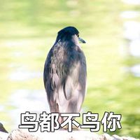 鸟都不鸟你表情包表情包 - 套图表情包 - 免费下载