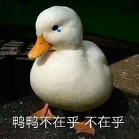 鸭鸭不在乎,不在乎——小鸭子系列表情包表情包 - 套图表情包 - 免费下载