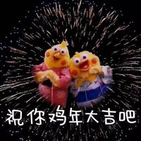 鹦鹉兄弟版祝你们鸡年大吉吧表情包表情包 - 套图表情包 - 免费下载