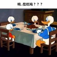 鸭,在吃鸡???表情包表情包 - 套图表情包 - 免费下载