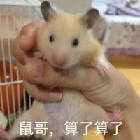 鼠哥,算了算了——仓鼠系列表情包表情包 - 套图表情包 - 免费下载
