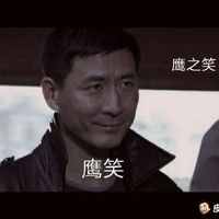 鹰之笑,鹰笑表情包表情包 - 套图表情包 - 免费下载